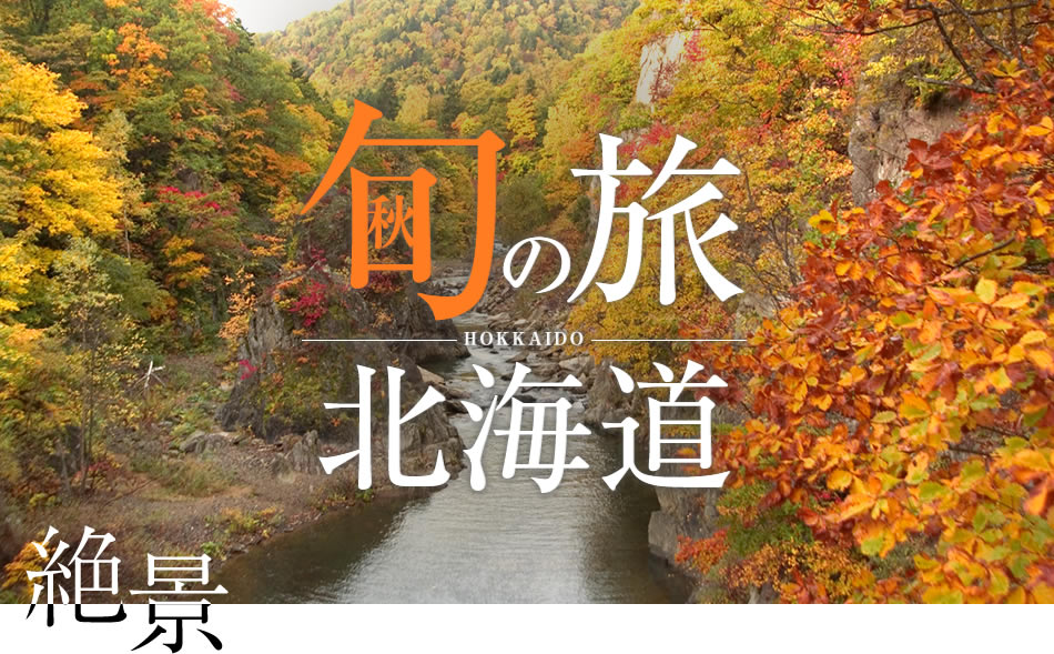 �{�̗� �k�C�� ��i