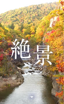 ��i ���{�̖k���Ȃ�ł͂̐�̐�i�͂������A���ق̖�i�⏬�M�^�͂Ȃ� ��x�͌��Ă݂����i�F�����͂����܂��B