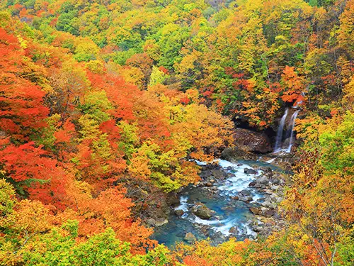 八幡平 紅葉の松川渓流