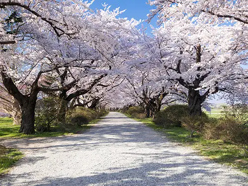 北上展勝地