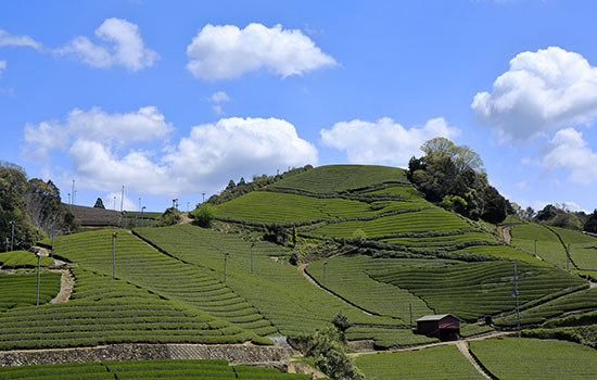 宇治・宇治田原