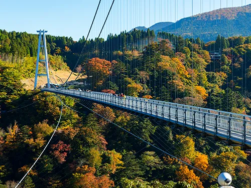 九重“夢”大吊橋 イメージ