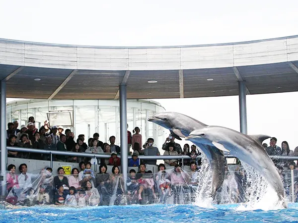 大分マリーンパレス水族館「うみたまご」 イメージ