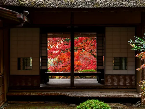 九年庵(窓からの紅葉) イメージ