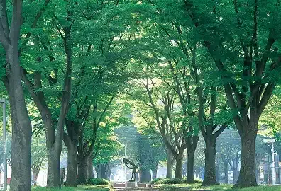 仙台・作並・秋保