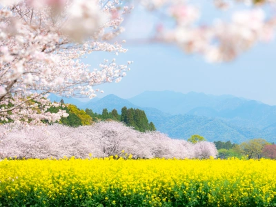 西都・日向灘 イメージ
