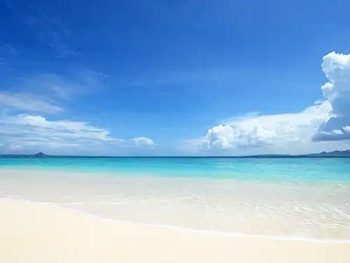 冬の沖縄の楽しみ方を徹底解説!子連れで楽しめるアクティビティもご紹介