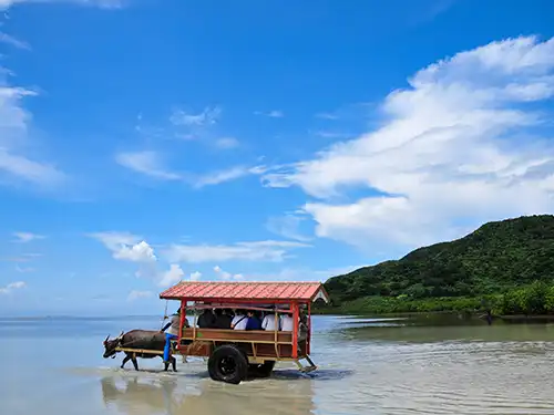 西表島・鳩間島