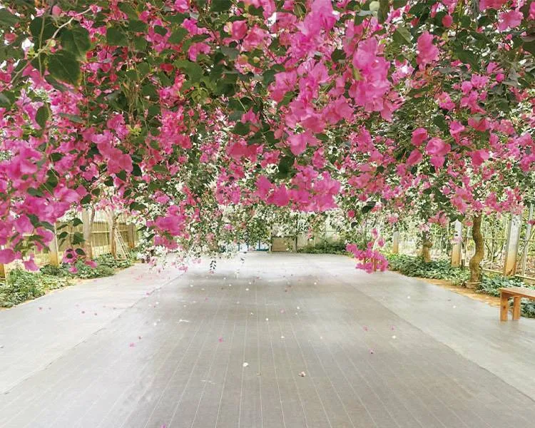 ユートピアファーム