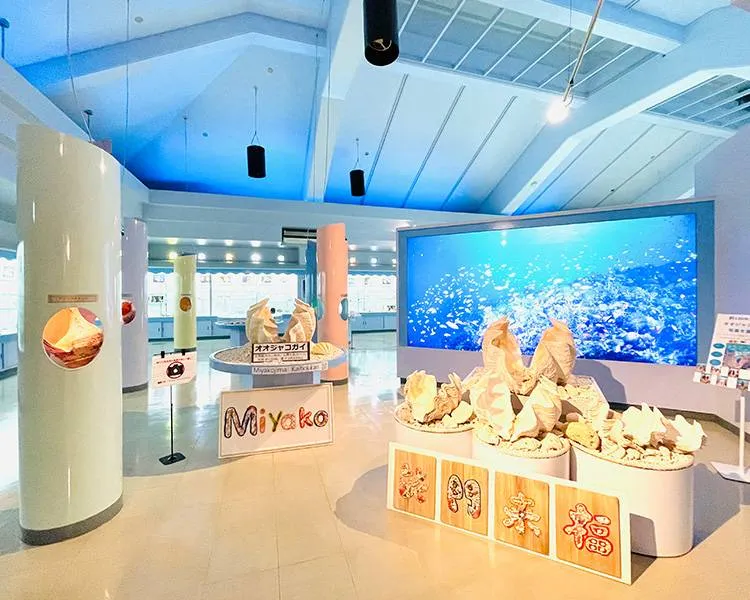 宮古島海宝館