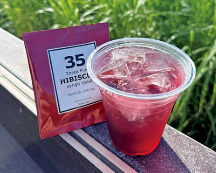 35ハイビスカスティ