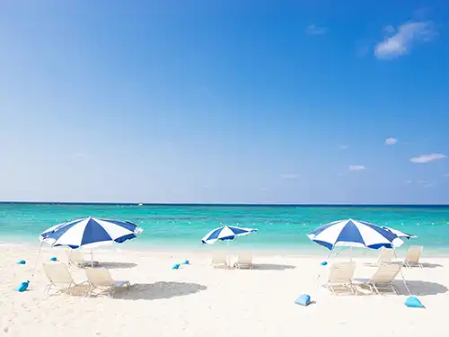 海水浴を楽しめるプラン