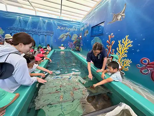 かりゆしサンゴパーク　サンゴ教室