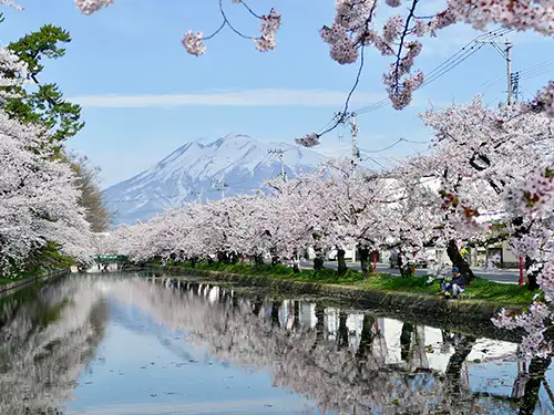 弘前公園