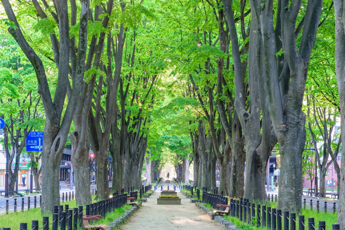 仙台観光おすすめモデルコース！半日で歴史とグルメを堪能しよう