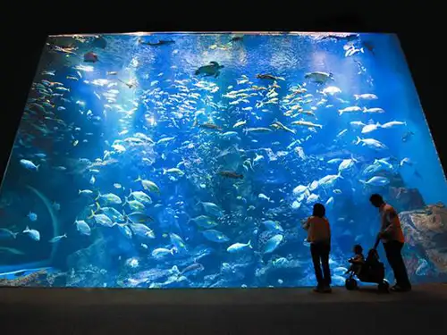 男鹿水族館GAO イメージ