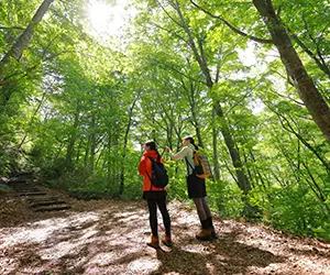 おすすめ「旅の過ごし方」 イメージ