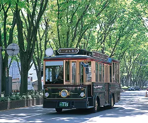 お楽しみ付きプラン イメージ