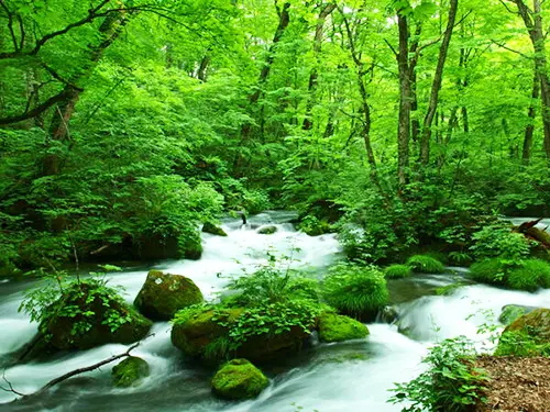 まだ知らない東北を探しに行こう！JTB感動の瞬間フォトツアー 水と光のシンフォニー～奥入瀬渓流撮影会～ イメージ