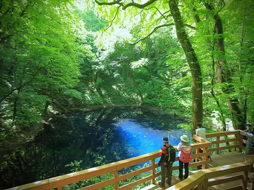 地元ガイドとあるく白神山地〈プライベートガイドプラン〉 【十二湖コース】 イメージ