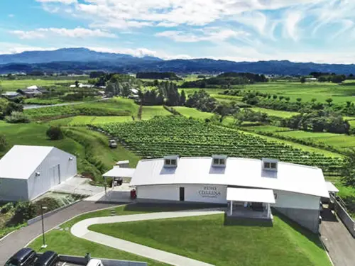 ワイナリーランチプラン～ピノ・コッツリーナ・ファームガーデン＆ワイナリー松ケ丘～ イメージ