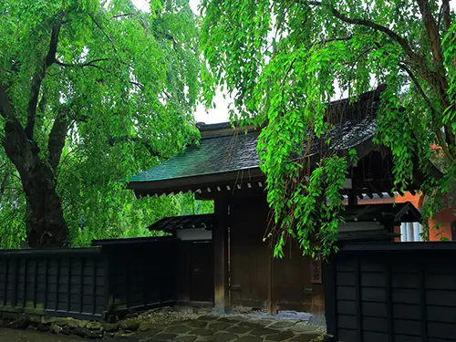 地元ガイドとあるく角館＜プライベートガイドプラン＞ イメージ