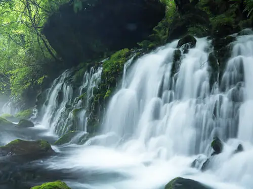 【秋田駅発着】ジオガイドと歩く元滝伏流水 イメージ