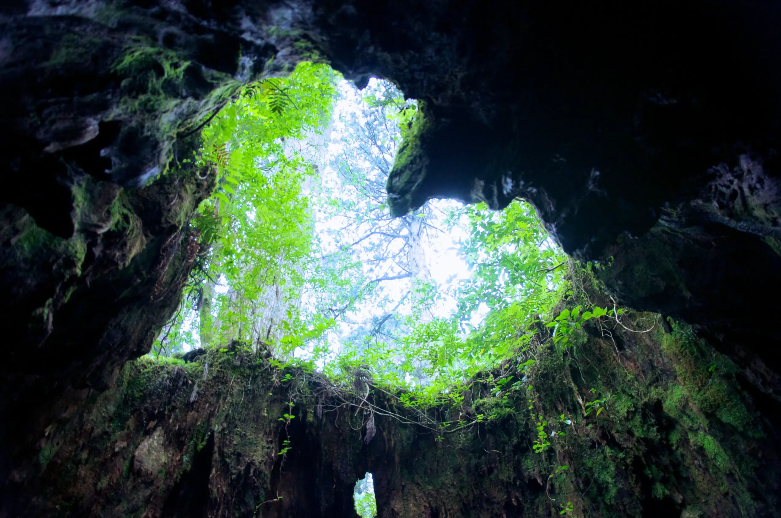 屋久島・口永良部島 イメージ