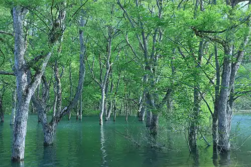 米沢・赤湯・飯豊山