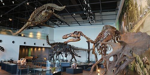 長崎市恐竜博物館
