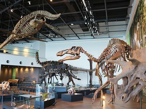 べネック恐竜博物館（長崎市恐竜博物館）