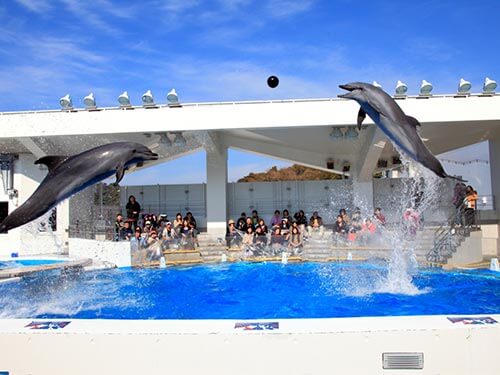 九十九島水族館 海きらら