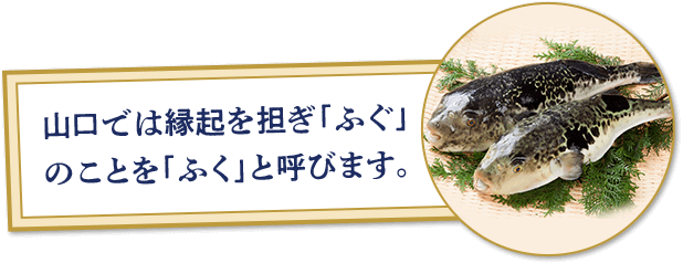 山口では縁起を担ぎ「ふぐ」のことを「ふく」と呼びます。
