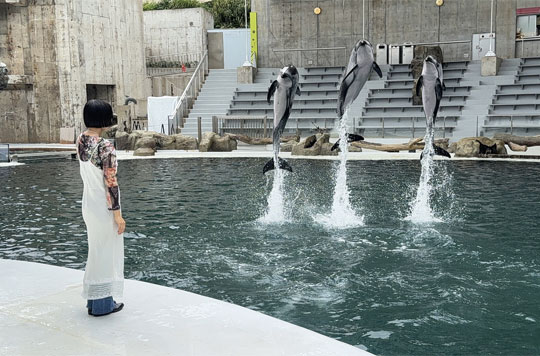 城崎マリンワールド（イメージ）