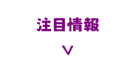 注目情報