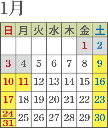 画像：1月運行日　プラン除外日：1日から4日まで　運行日：9日　10日　11日　16日　17日　23日　24日　30日　31日