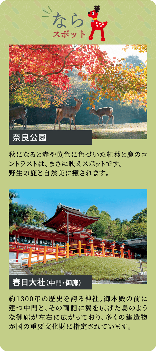 画像：ならスポット　奈良公園　奈良公園　春日大社（中門・御廊）　約1300年の歴史を誇る神社。御本殿の前に建つ中門と、その両側に翼を広げた鳥のような御廊が左右に広がっており、多くの建造物が国の重要文化財に指定されています。