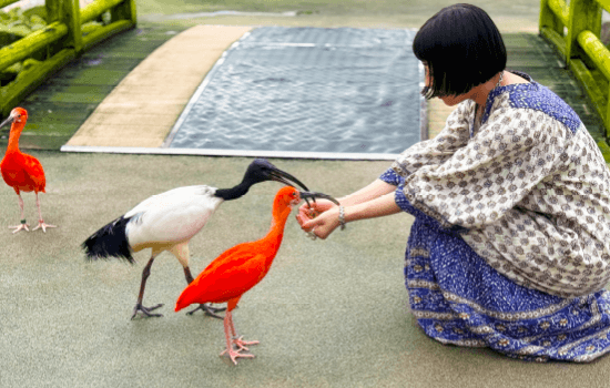 松江フォーゲルパーク