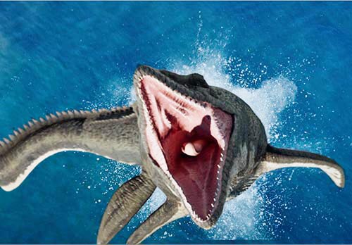 恐竜博物館へ直行！「新感覚XRバス　WOWRIDE　いこっさ！福井号」 イメージ