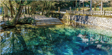 別府弁天池の画像