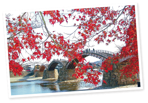 秋の遊覧船「もみじ舟」のイメージ画像