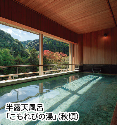 半露天風呂こもれびの湯