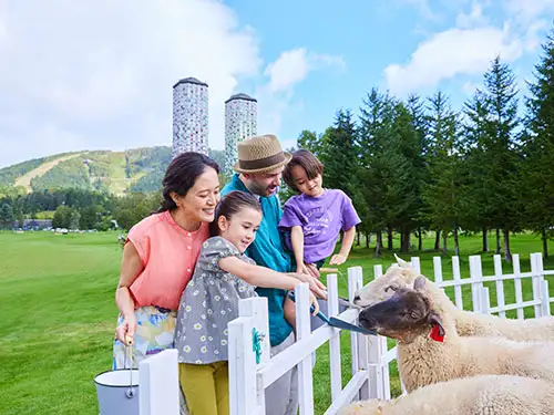 トマム・ニセコ3泊4日モデルコース イメージ