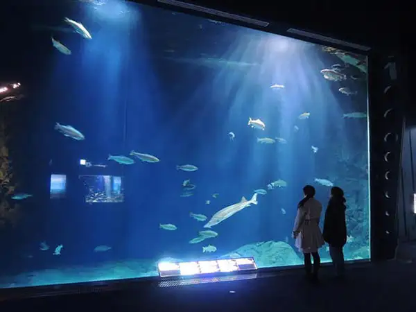 サケのふるさと千歳水族館