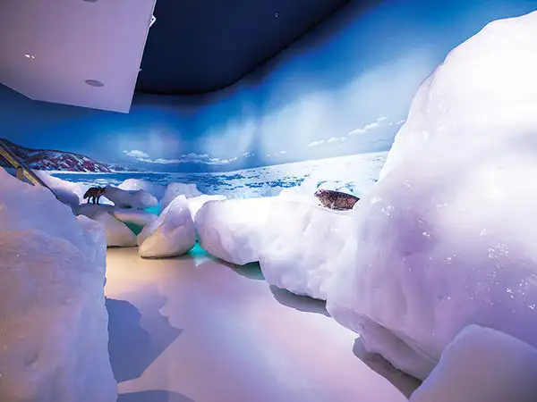 オホーツク流氷館