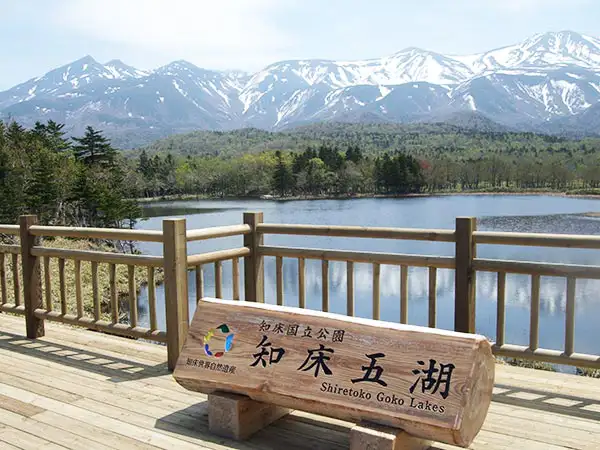 シンラ