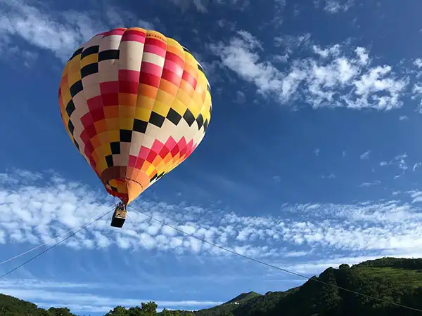 北海道ライオンアドベンチャー