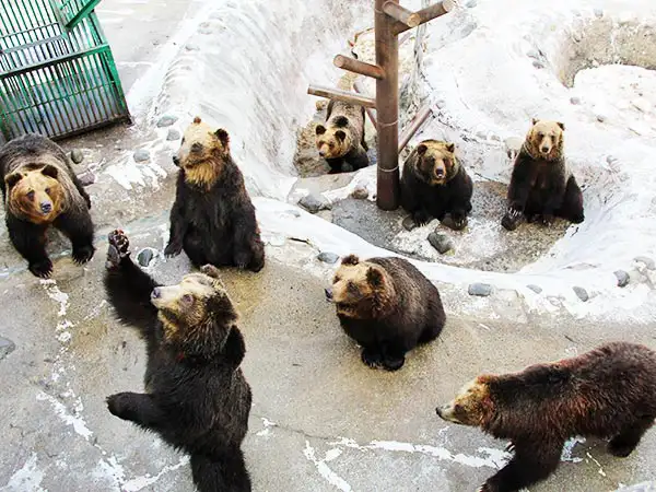 登別温泉ケーブル(のぼりべつクマ牧場)