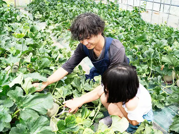 吉田農園