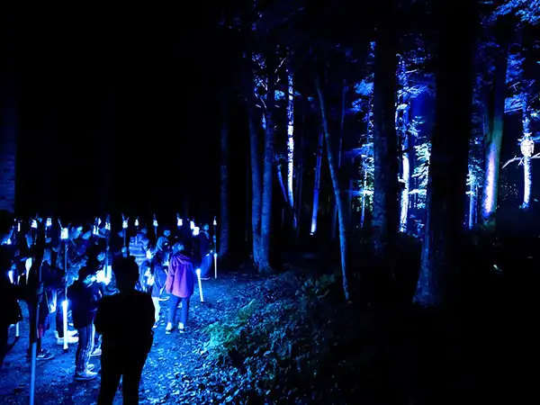 阿寒湖の森ナイトウォーク KAMUY LUMINA